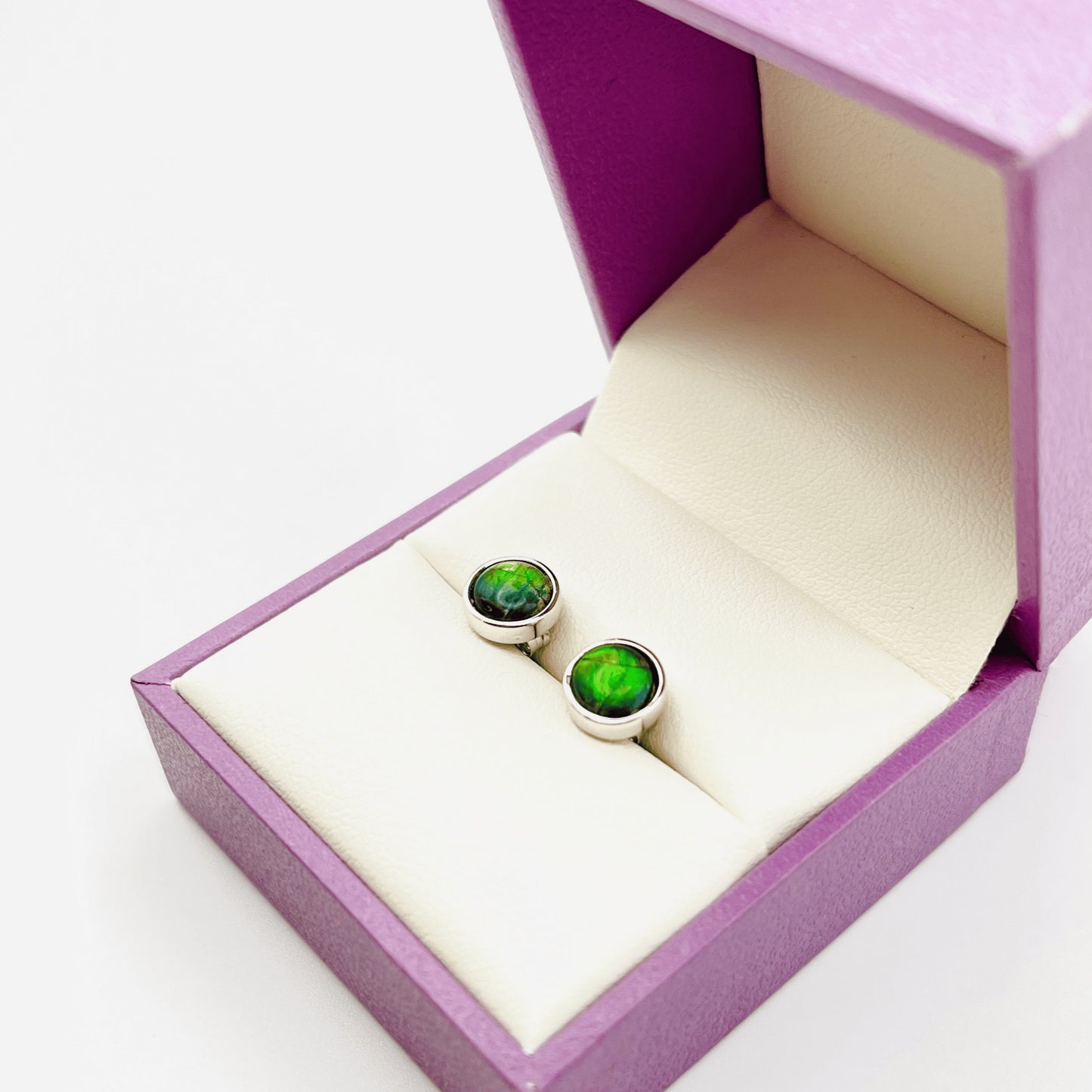 Ammolite Green Studs in Sterling Silver