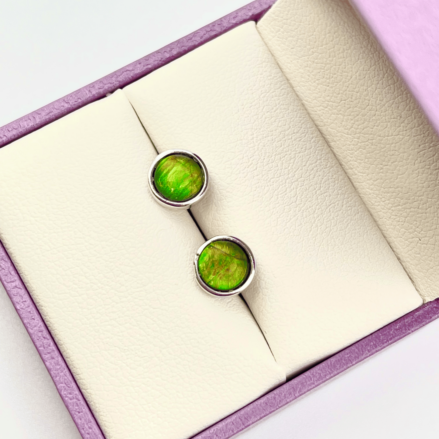 Ammolite Green Studs in Sterling Silver