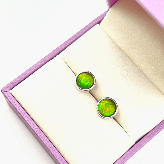 Ammolite Green Studs in Sterling Silver