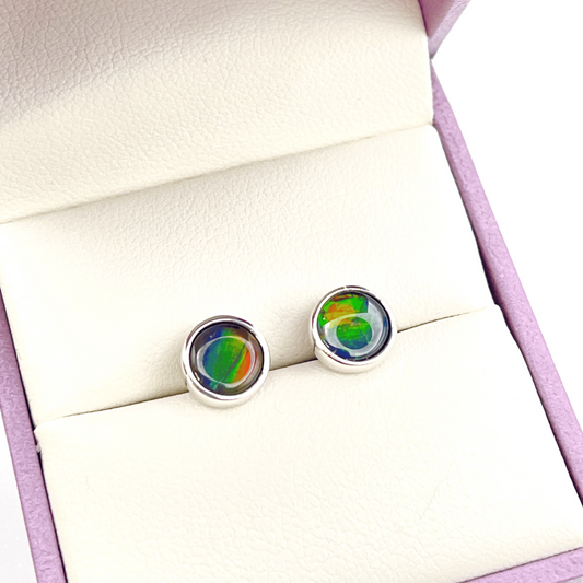 Ammolite Multicolor Studs in Sterling Silver