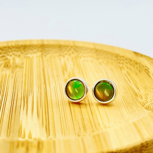 Ammolite Green, Orange, and Yellow Studs in Sterling Silver