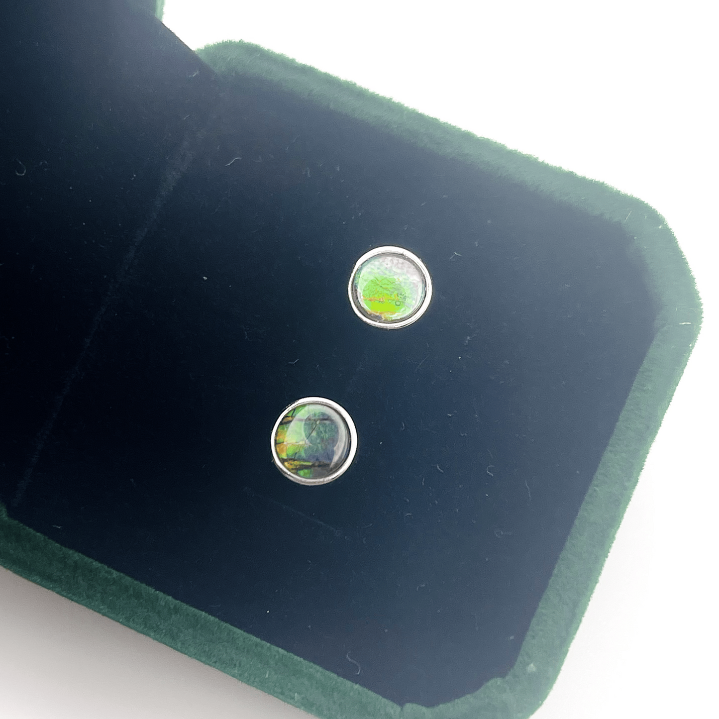 Ammolite Stud Earrings – 6x6mm Round Sterling Silver Gold Green Blue Canada’s Opal