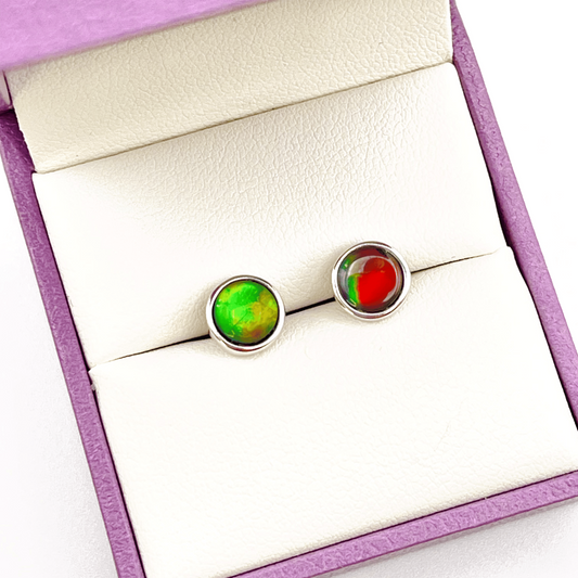 Rare Ammolite Multicolor Studs in Sterling Silver